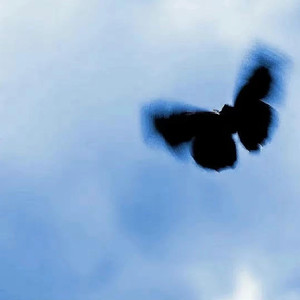 三级片国产在线观看
