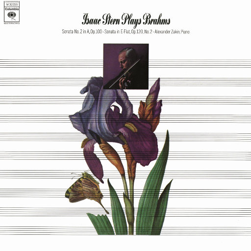 三级片国产在线观看
